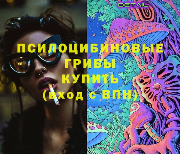 mdma Богородицк