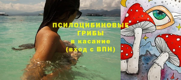 mdma Богородицк