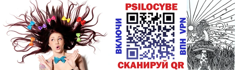 Купить  Рыльск  Псилоцибиновые грибы Cubensis 